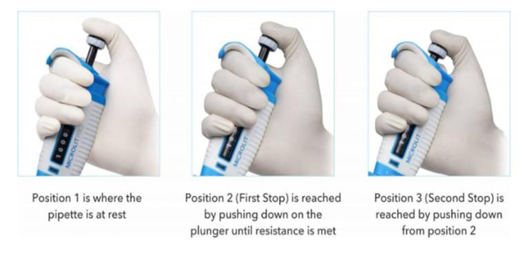 Using a micro pipette
