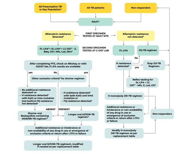 integrated diagnostic and treatment algorithm